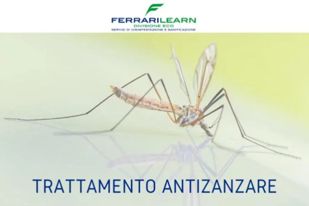 Trattamento antizanzare: come e quando farlo